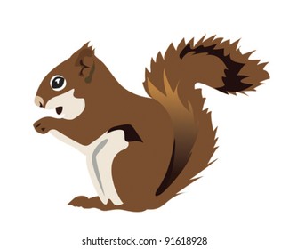 squirrel vector illustration