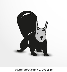 Squirrel. Vector illustration. Animal collection.