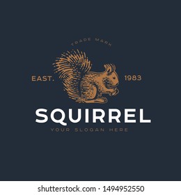 Squirrel. Vector illustration. Black and white vector objects.