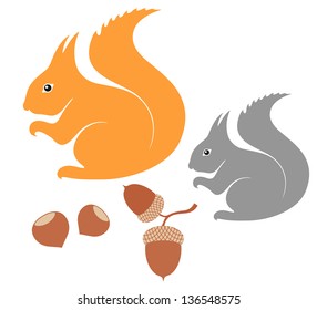 Squirrel. Vector illustration EPS 10