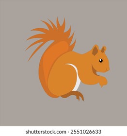 squirrel vector illustration graphic design clean unique