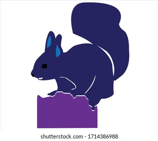 squirrel vector illustration, isolated on a white background.