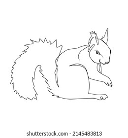 Squirrel vector illustration in line art style