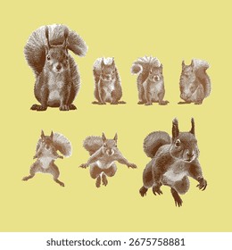 Esquilo, vetor de esquilo, ilustração de esquilo, desenho de linha em fundo amarelo.