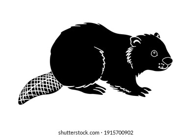 Squirrel Vector Illustration Solid Color
