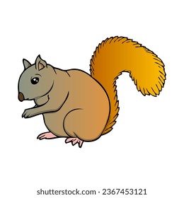 ilustración de vector de ardilla, aislada en fondo blanco, vista superior