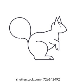 squirrel vector line icon, sign, illustration on background, editable strokes