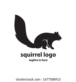 Squirrel vector logo design concept, simple, suitable for business finance and technology