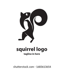 Squirrel vector logo design concept, simple, suitable for business finance and technology