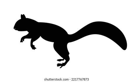 Squirrel with vector silhouette icon on white background.illustration with squirrels isolated .