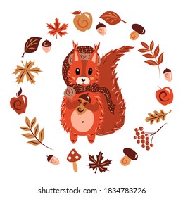 Ein Eichhörnchen in einem warmen Hut mit Schal und Eichel. Herbstzeichen. Tier, gelbliche Blätter von Ahorn, Eiche, Birke, Äpfel, Robbenbeeren. Einzige Objekte, weißer Hintergrund. Stock-Vektorgrafik.