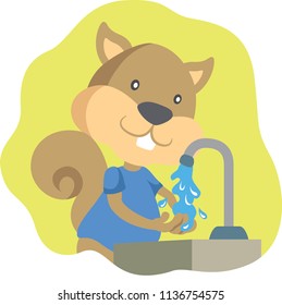 Squirrel washing hands