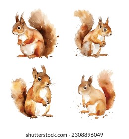 
Squirrel watercolor hand paint collection