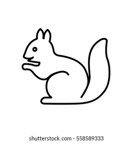 Squirrel web line icon.