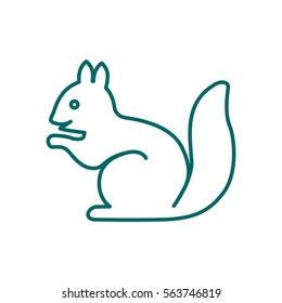 Squirrel web line icon.