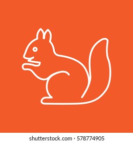 Squirrel web line icon.