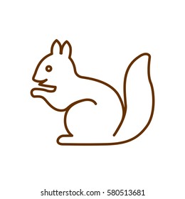 Squirrel web line icon.