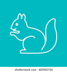 Squirrel web line icon.