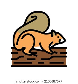 squirrel wild animal color icon vector. squirrel wild animal sign. isolated symbol illustration