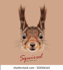 Squirrel wild animal  face. Vector Britain  cute red squirrel head portrait. Realistic fur portrait of funny squirrel isolated on brown background.