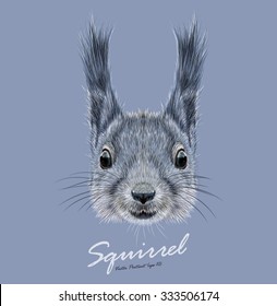 Squirrel wild animal  face. Vector Britain  cute gray squirrel head portrait. Realistic fur portrait of funny squirrel isolated on blue background.