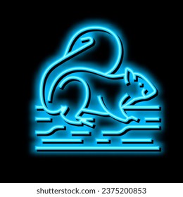 squirrel wild animal neon light sign vector. squirrel wild animal illustration