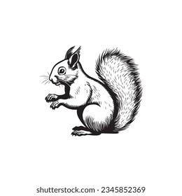 Squirrel - wild animal, vector design of squirrel isolated on white background