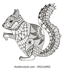 Squirrel zentangle stylized, vector, illustration, pattern, freehand pencil, hand drawn.
