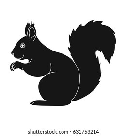Squirrel.Animals single icon in black style vector symbol stock illustration web.