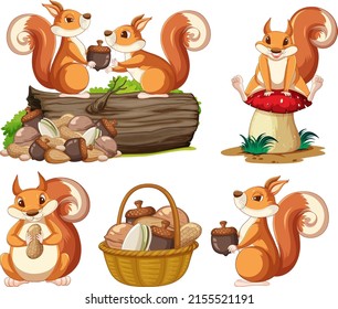 Squirrels in different action illustration