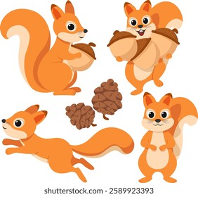 Squirrels in different poses. Squirrel character with acorns and cones on a white background