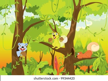 squirrels in the jungle