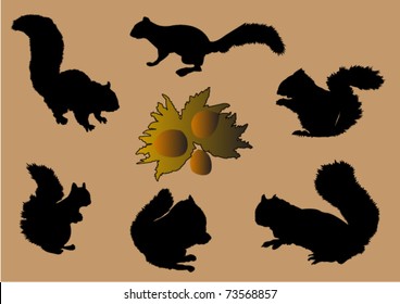 Squirrels and nuts - vector