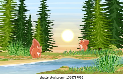 Squirrels on the river bank. River bank with grass, trees and bushes. Sunset or sunrise in summer. Wild nature of Russia, Europe, USA and Canada. Realistic Vector Landscape