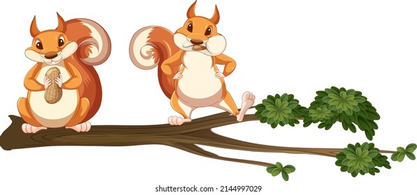 Squirrels on the tree branch illustration