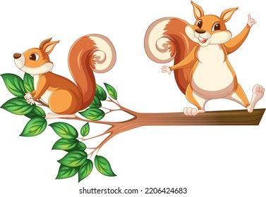 Squirrels on the tree branch illustration