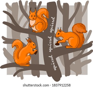 
squirrels on the tree vector sketch