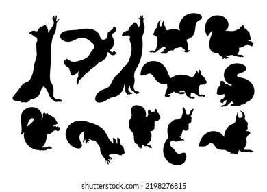 Squirrels templates for cutting programs illustrations isolated