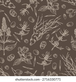 Padrão sem garras com plantas cosméticas e de perfumaria: lofant, ginseng, cornel, motherwort japonês. Ilustração desenhada à mão vetorial.