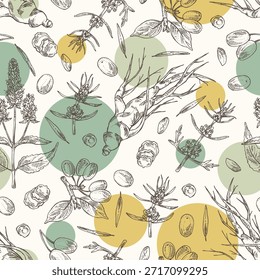 Padrão sem garras com plantas cosméticas e de perfumaria: lofant, ginseng, cornel, motherwort japonês. Ilustração desenhada à mão vetorial.