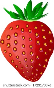 vector arándano. fruta fresca del verano