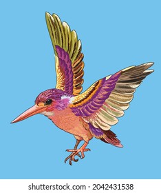 srawing rare kingfisher,birds collection, art.illustration, vector