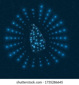 Digitale Karte Sri Lankas. Strahlende Strahlen aus dem Land. Netzanschlüsse und Telekommunikation. Vector-Abbildung.
