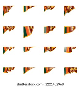 Sri Lanka flag, vector illustration on a white background