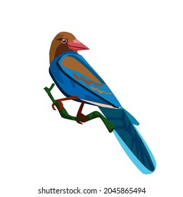 Sri Lankan blue magpie perched on a branch.Isolated vector illustration on a white background.