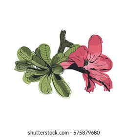 Sri-Lanka exotic flower isolated vector. Tropical Flower