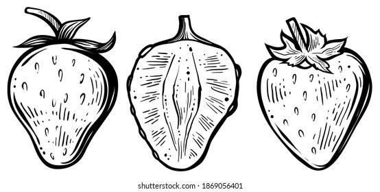 Srtrawberries whole and sliced, vector