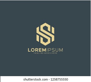 SS initial vector hexagon monogram template icon logo design eps 10