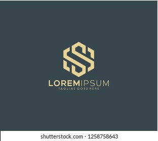SS initial vector hexagon monogram icon logo design eps 10