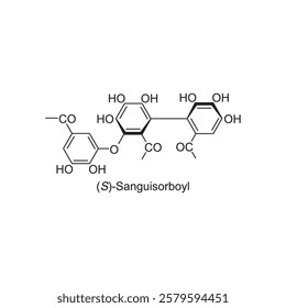 (S)-Sanguisorboyl skeletal structure.Tannin compound schematic illustration. Simple diagram, chemical structure.